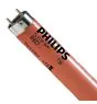 Philips MASTER TL-D 36W - Rosso | 120cm