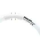 Philips MASTER TL5C Circolare 22W - 830 Luce Calda | 22cm