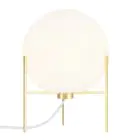 Nordlux Alton 20 Lampada Da Tavolo Metallo Ottone | Adatto per 1x E14