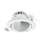 Philips Faretti LED Greenspace Accent Cardanic Aluminium Bianca 33W 2800lm 24D - 950 Bianco Freddo | 163mm - IP20 - Miglior Resa Cromatica - Interact Dimmerabile